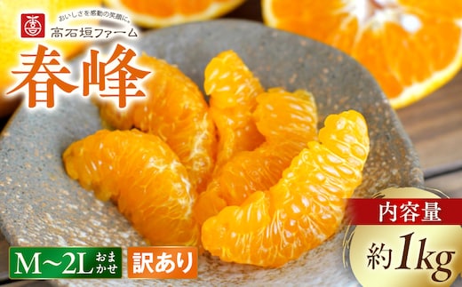 訳あり 春峰 1kg M～2Lサイズおまかせ 高石垣ファーム