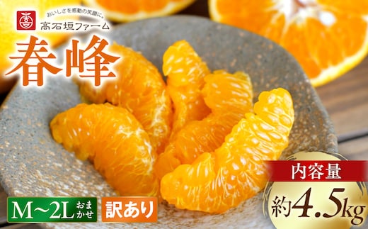 訳あり 春峰 4.5kg M～2Lサイズおまかせ 高石垣ファーム