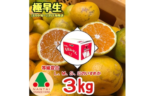 等級混合 極早生 有田 みかん L ～ SS サイズ 3kg 南泰園 和歌山 有田みかん