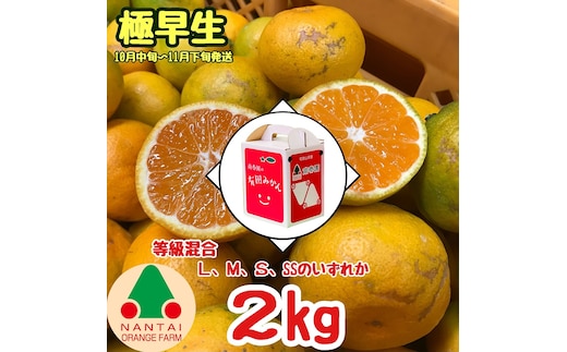 等級混合 極早生 有田 みかん L ～ SS サイズ 2kg 南泰園 和歌山 有田みかん
