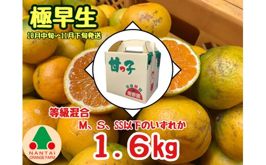 等級混合 極早生 有田みかん M ～ SSサイズ以下 約1.6kg 南泰園 和歌山 有田みかん