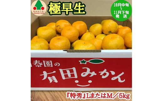 極早生 有田 みかん 特秀 L または M サイズ 5kg 南泰園 和歌山 有田みかん