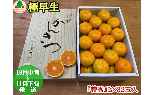 極早生 有田 みかん 化粧箱 特秀 L サイズ 32玉入 南泰園 和歌山 有田みかん