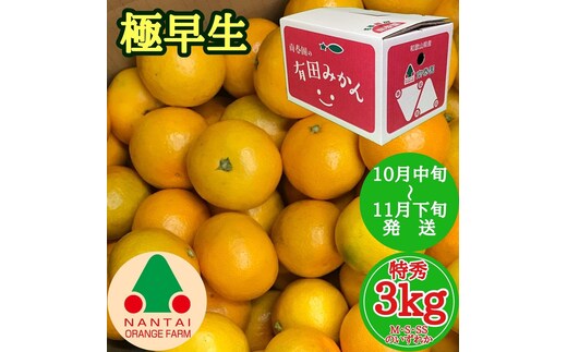 極早生 有田 みかん 特秀 M ～ SS サイズ 3kg 南泰園 和歌山 有田みかん