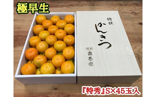 極早生 有田 みかん 化粧箱 特秀 S サイズ 45玉入 南泰園 和歌山 有田みかん