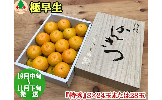 極早生 有田 みかん 化粧箱 小箱 特秀 S サイズ 24玉または28玉入 南泰園 和歌山 有田みかん