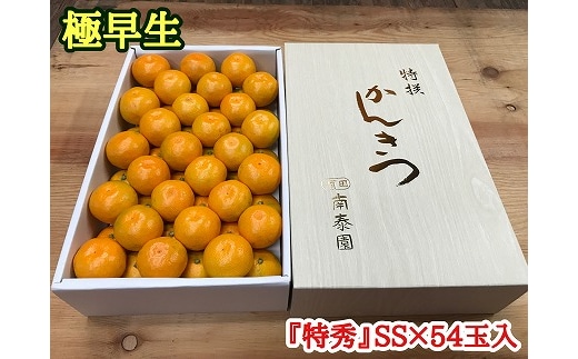 極早生 有田 みかん 化粧箱 特秀 小玉 SS サイズ 54玉入 南泰園 和歌山 有田みかん