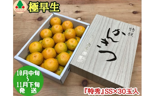 極早生 有田 みかん 化粧箱 小箱 特秀 小玉 SS サイズ 30玉入 南泰園 和歌山 有田みかん