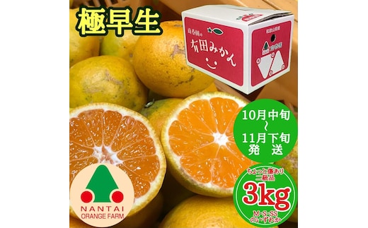 ちょっと 傷あり 極早生 有田 みかん M ～ SS サイズ 3kg 南泰園 和歌山 有田みかん