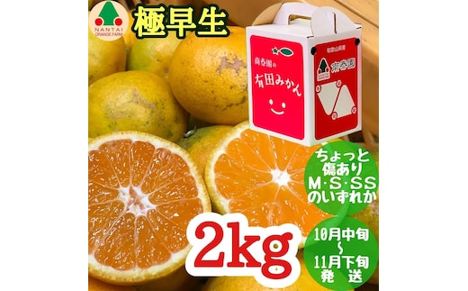 ちょっと 傷あり 極早生 有田 みかん M～SS サイズ 2kg 手さげ箱 南泰園 和歌山 有田みかん