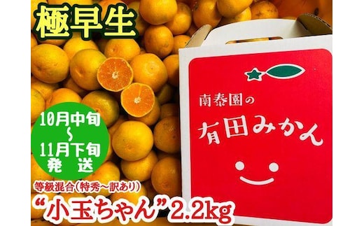 極早生 有田 みかん 小玉ちゃん 等級 混合 2.2kg 南泰園 和歌山 有田みかん