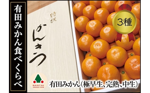 定期便 有田みかん 食べくらべ 3種 化粧箱 各約 3kg 南泰園 全3回 2026年 10月 発送開始 みかん