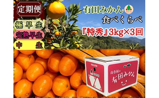 定期便 有田みかん 食べくらべ 3種 特秀 各 3kg コース 全3回 南泰園 みかん
