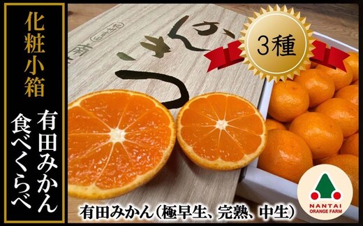 定期便 有田みかん 食べくらべ 3種 化粧小箱 各約 2kg 南泰園 全3回 2026年 10月 発送開始 みかん