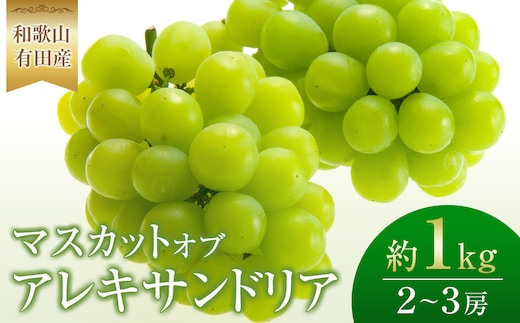 ［先行予約］和歌山 有田産 マスカットオブアレキサンドリア 約1kg 2～3房 ［2026年8月下旬より順次発送予定］