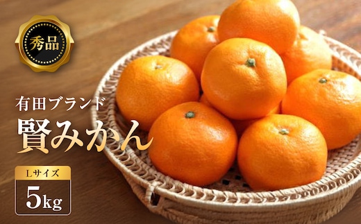 [秀品]有田のブランド「賢みかん」5kg(Lサイズ) ［2026年11月中旬頃より順次発送］