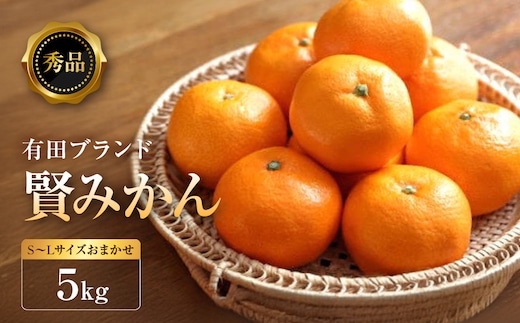 ［秀品］有田のブランドみかん「賢みかん」5kg（サイズおまかせ）［2026年11月中旬頃より順次発送］