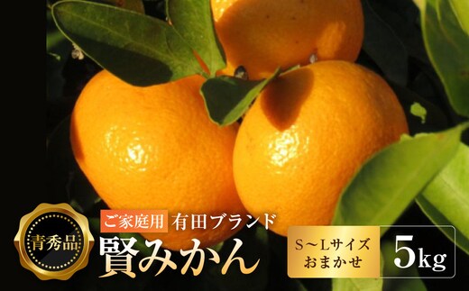 有田のブランド「賢みかん」5kg(S～Lサイズおまかせ）ご家庭用［2026年11月中旬頃より順次発送］