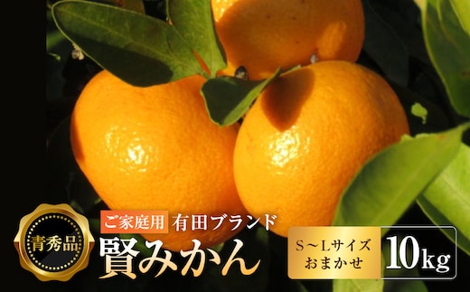有田のブランド「賢みかん」10kg(S～Lサイズおまかせ）ご家庭用［2026年11月中旬頃より順次発送］