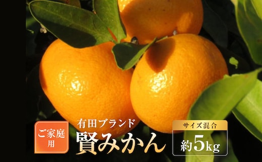 有田のブランド「賢みかん」約5kg サイズ混合 ご家庭用［2026年11月中旬頃より順次発送］