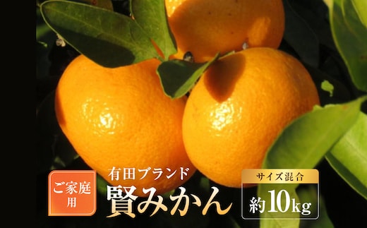 有田のブランド「賢みかん」約10kg サイズ混合 ご家庭用［2026年11月中旬頃より順次発送］