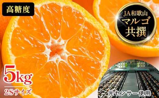 有田みかん 5kg 2Sサイズ 光センサー使用 高糖度