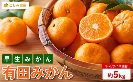 有田みかん 早生みかん 秀品または優品 約5kg S～Lサイズ混合 としみ農園