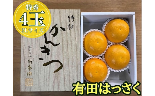 化粧箱 手詰め 有田 はっさく 特秀 大玉 2L サイズ × 4玉入 小箱 南泰園 みかん