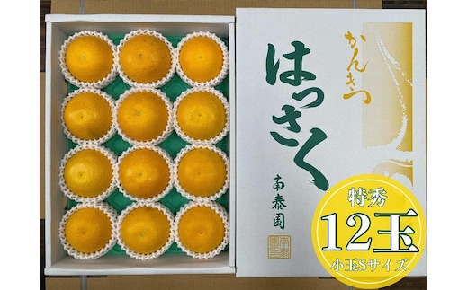 化粧箱 手詰め 有田 はっさく 特秀 小玉 S サイズ × 12玉入 南泰園 みかん
