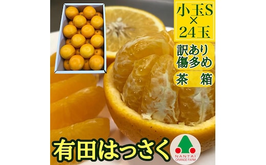 訳あり 傷多め 手詰め 有田 はっさく 小玉 S サイズ × 24玉入 南泰園 みかん