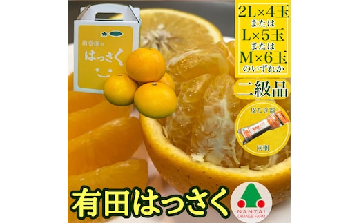 ちょっと 傷あり 手さげ箱 有田 はっさく 2L ~ M 4~6玉入 ムッキー 同梱 南泰園 みかん