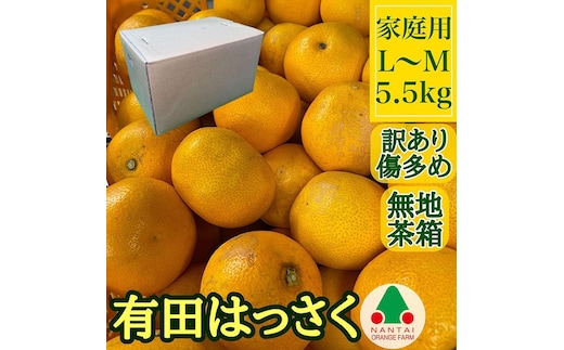 訳あり 傷多め 手詰め 有田 はっさく L または M サイズ 5.5kg 南泰園 みかん