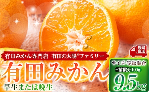 有田みかん専門店 有田の太陽®ファミリー 早生または晩生 有田みかん 9.5kg＋補償分100g 山採れ・サイズ・等級 混合