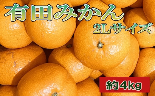 [秀品]和歌山有田みかん約4kg(2Lサイズ) ★2026年11月中旬頃より順次発送［TM199w］