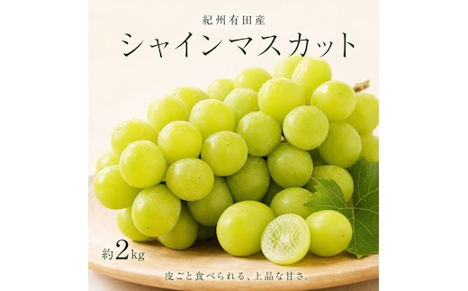 紀州有田産シャインマスカット 約2kg【先行予約】【2026年8月下旬以降発送予定】