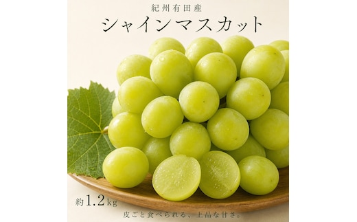 紀州有田産シャインマスカット 約1.2kg【先行予約】【2026年8月下旬以降発送予定】