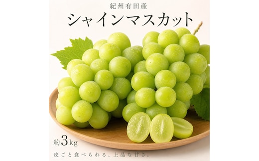 紀州有田産シャインマスカット 約3kg【先行予約】【2026年8月下旬以降発送予定】