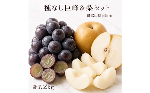 紀州有田産の種なし巨峰と梨セット 計約２kg【先行予約】【2026年8月中旬以降発送予定】
