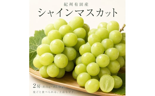 紀州有田産シャインマスカット２房（約1kg～1.4kg）【先行予約】【2026年8月下旬以降発送予定】