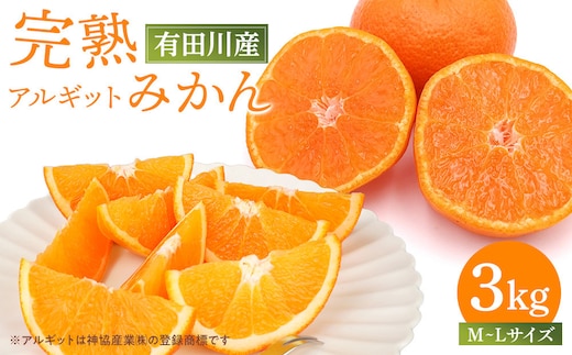 【年内発送指定】 完熟 アルギット みかん 3kg M ～ L サイズ 【発送期間：2026年12月21日～12月30日】 先行予約 みかん 有田みかん 甘い おいしい ジューシー 皮 薄い 完熟 期間限定 フルーツ 果物