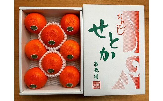 ハーフ 化粧箱 柑橘の大トロ ハウス せとか 厳選 8玉入 南泰園