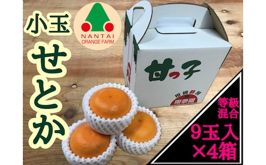 ［4箱セット］甘っ子 小玉 ハウス せとか 9玉入 × 4箱 手さげ箱 南泰園