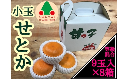 ［8箱セット］甘っ子 小玉 ハウス せとか 9玉入 × 8箱 手さげ箱 南泰園