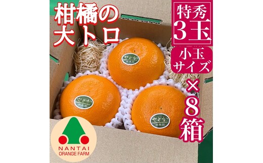 お試し規格 柑橘の大トロ ハウス せとか 厳選 小玉 3玉入 手さげ箱 × 8箱 南泰園 和歌山 有田