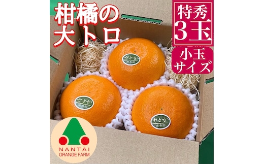 お試し規格 柑橘の大トロ ハウス せとか 厳選 小玉 3玉入 手さげ箱 南泰園 和歌山 有田