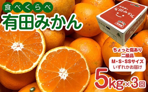 定期便 ちょっと 傷あり 5kg ×3 回 コース 有田みかん 食べくらべ 3種 全3回 南泰園 みかん