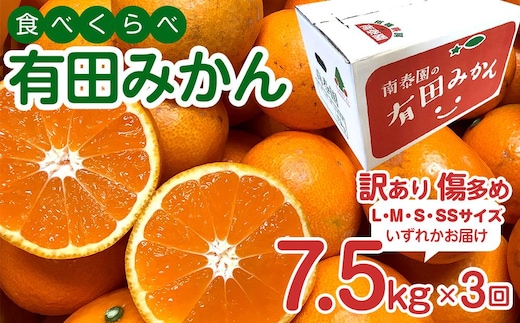 定期便 訳あり 傷多め 7.5kg × 3回 コース 有田みかん 食べくらべ 3種 全3回 南泰園 みかん