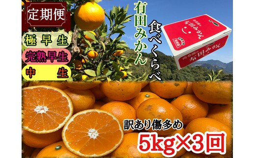 定期便 訳あり 傷多め 5kg × 3回 コース 有田みかん 食べくらべ 3種 全3回 南泰園