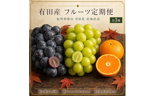 【8・9・12月 全3回】紀州和歌山産旬のフルーツセット（巨峰・シャインマスカット・みかん） 定期便