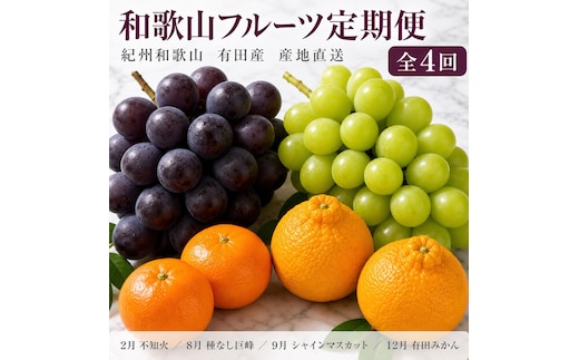 【2・8・9・12月 全4回】紀州和歌山産旬のフルーツセット（巨峰・シャインマスカット・みかん・不知火） 定期便